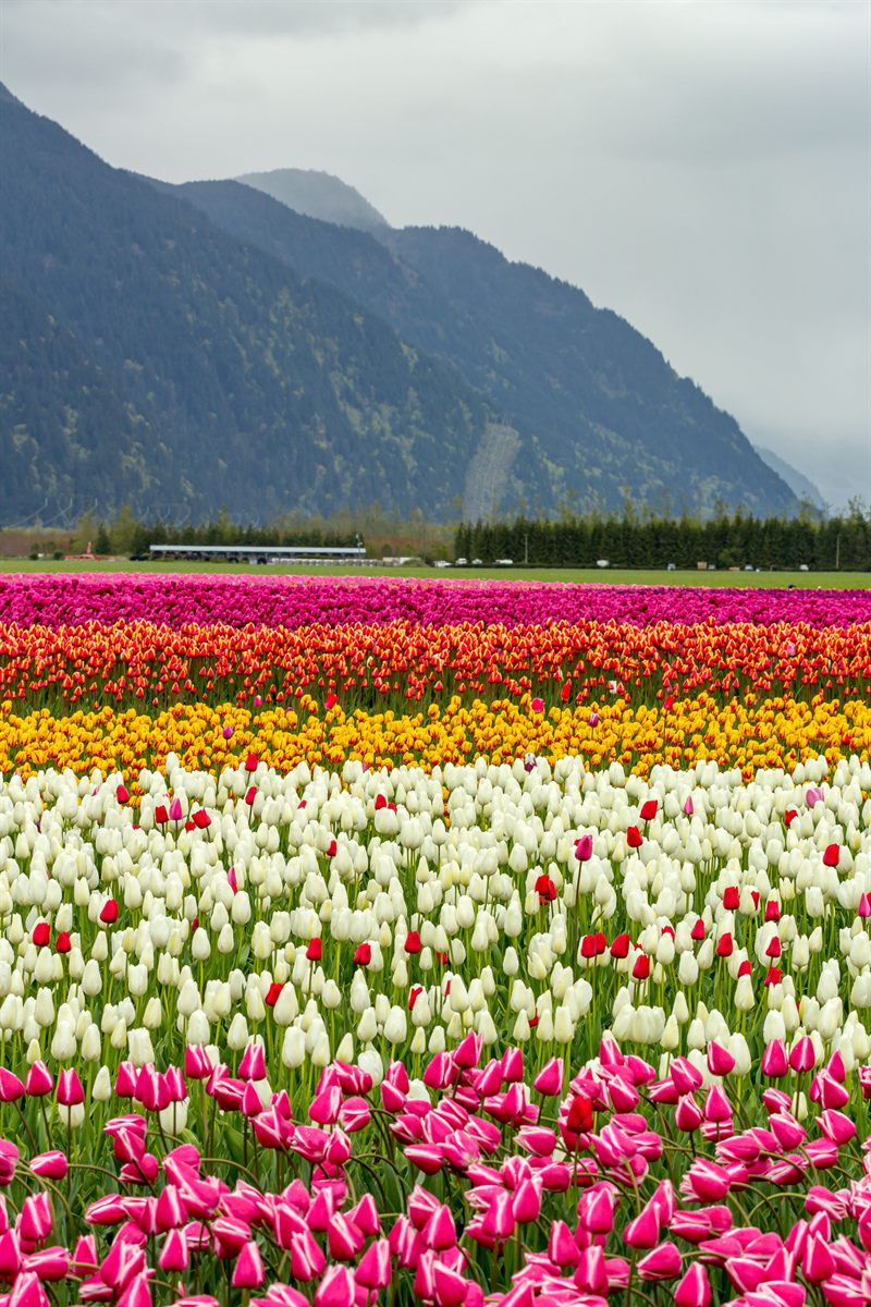 Netherlands.