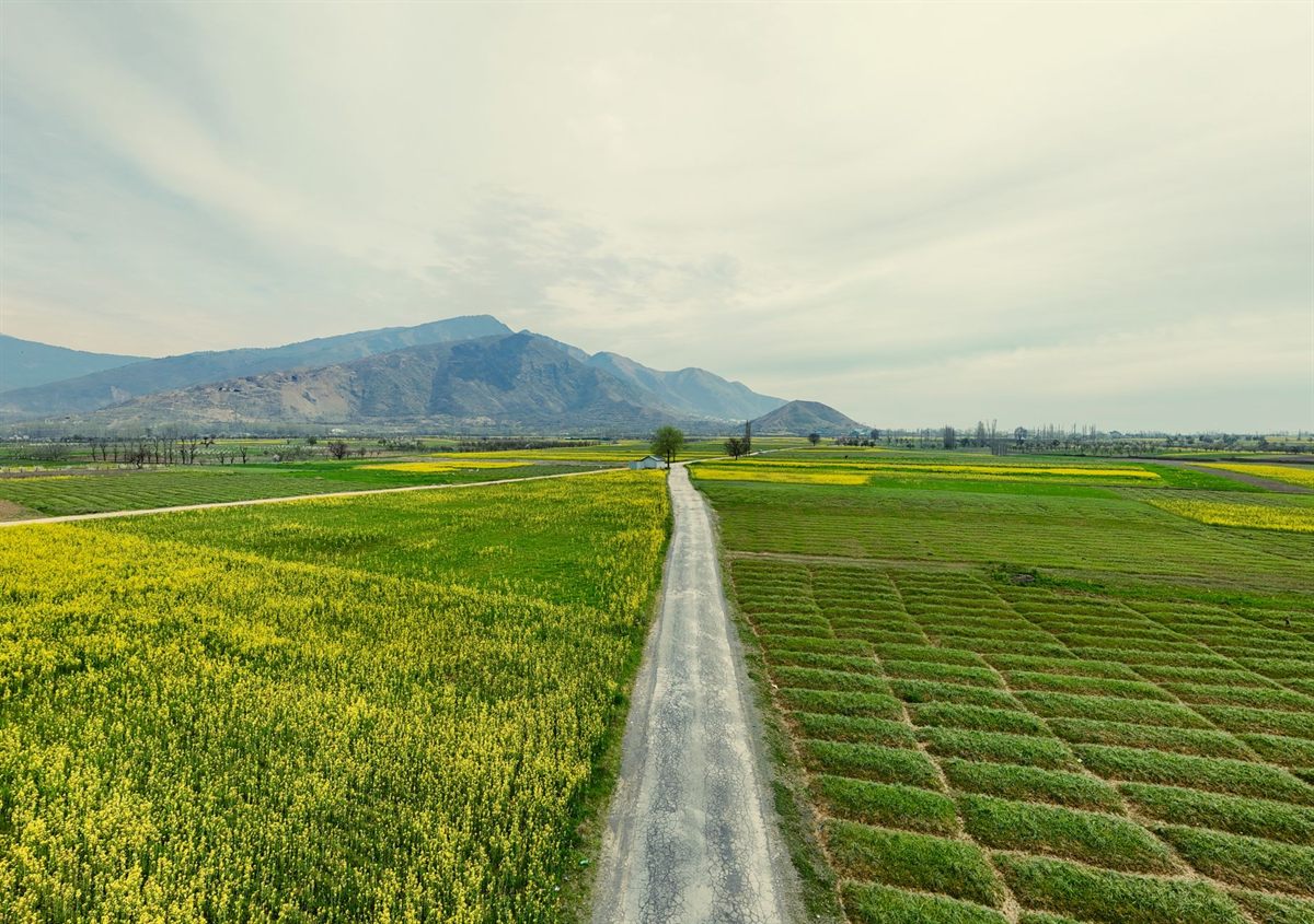 Pakistan.